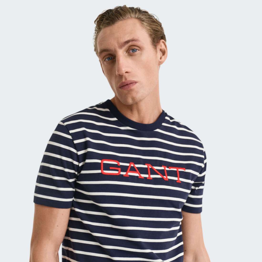 TSHIRT GANT GRAPHIC STRIPED 433