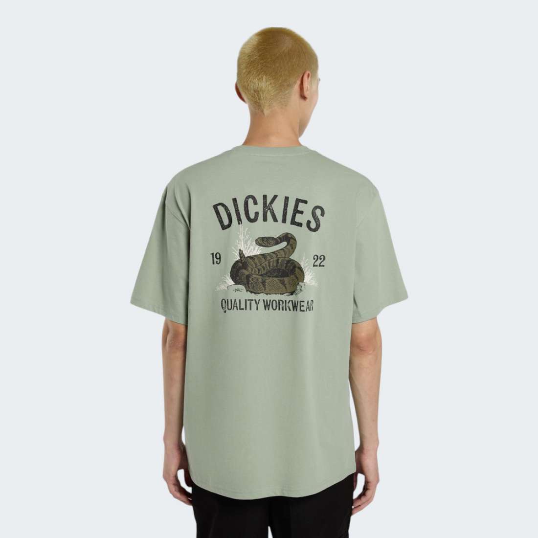 TSHIRT DICKIES SNAKE GREEN