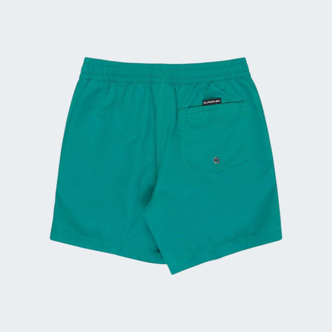 CALÇÕES DE BANHO QUIKSILVER EVERDAY