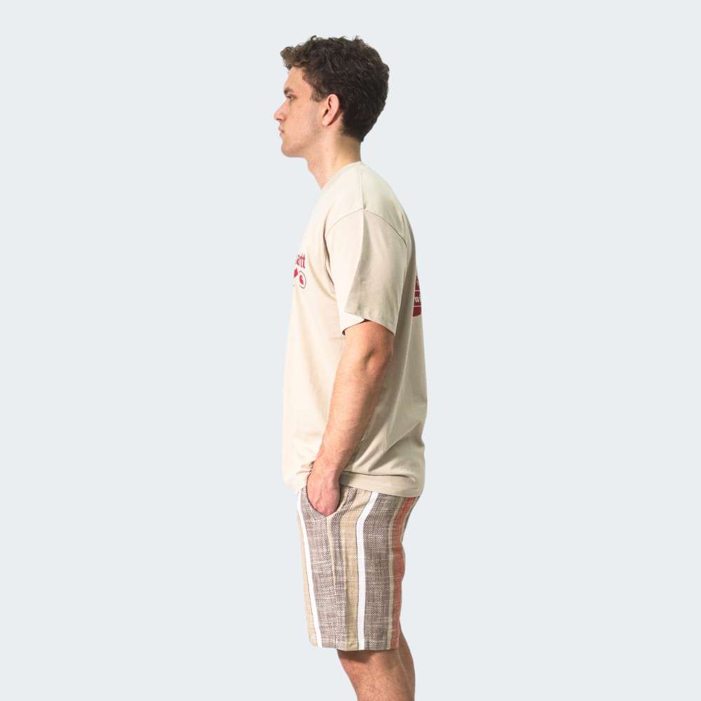TSHIRT CARHARTT CATALOGUE FLEUR DEL SEL/DESIRE